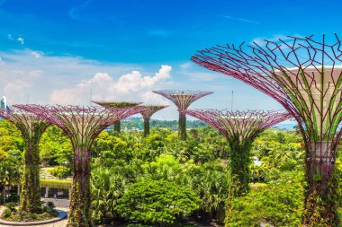 SINGAPORE - 23 Haziran 2018 'de Marina Körfezi Sands Oteli yakınlarındaki Singapur Körfezi yakınlarındaki Gardens' taki Supertree Grove