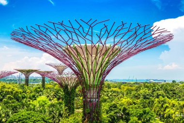 SINGAPORE - 23 Haziran 2018 'de Marina Körfezi Sands Oteli yakınlarındaki Singapur Körfezi yakınlarındaki Gardens' taki Supertree Grove