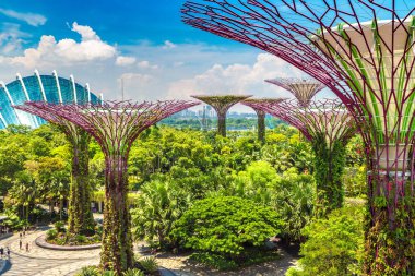 Singapur - 23 Haziran 2018: Supertree Grove Gardens koy ve Marina Bay Sands hotel yaz günü adlı yakınlarında Singapur serada tarafından