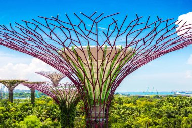 SINGAPORE - 23 Haziran 2018 'de Marina Körfezi Sands Oteli yakınlarındaki Singapur Körfezi yakınlarındaki Gardens' taki Supertree Grove