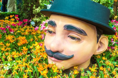 Singapur - 23 Haziran 2018: Konservatuvarı çiçek kubbe Singapur yaz gün