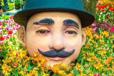 Singapur - 23 Haziran 2018: Konservatuvarı çiçek kubbe Singapur yaz gün