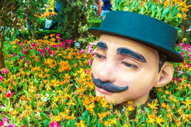 Singapur - 23 Haziran 2018: Konservatuvarı çiçek kubbe Singapur yaz gün