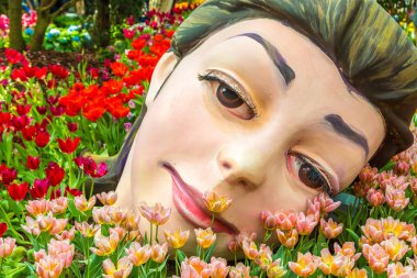 Singapur - 23 Haziran 2018: Konservatuvarı çiçek kubbe Singapur yaz gün