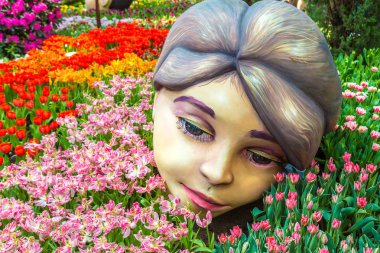 Singapur - 23 Haziran 2018: Konservatuvarı çiçek kubbe Singapur yaz gün