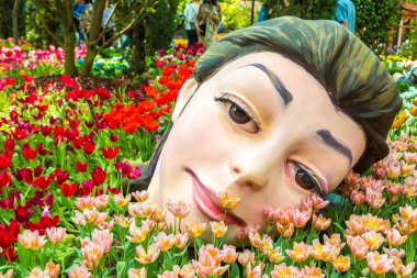 Singapur - 23 Haziran 2018: Konservatuvarı çiçek kubbe Singapur yaz gün