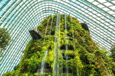 Singapur - 23 Haziran 2018: Şelale Konservatuarı bulut orman kubbe Singapur yaz gün