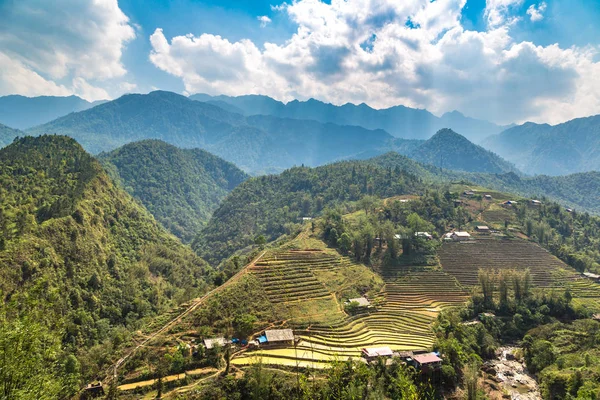 Panoramautsikt Över Terrasserad Risfält Sapa Lao Cai Vietnam Sommardag — Stockfoto