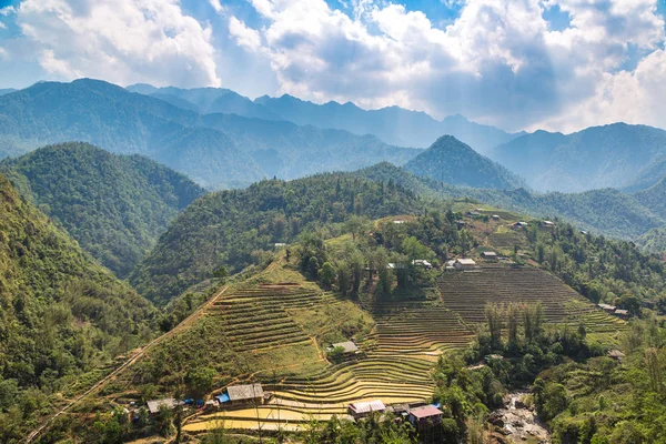 Panoramautsikt Över Terrasserad Risfält Sapa Lao Cai Vietnam Sommardag — Stockfoto