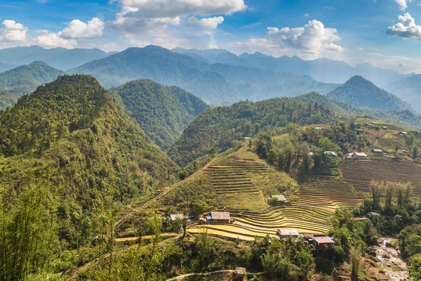 Panoramautsikt Över Terrasserad Risfält Sapa Lao Cai Vietnam Sommardag — Stockfoto