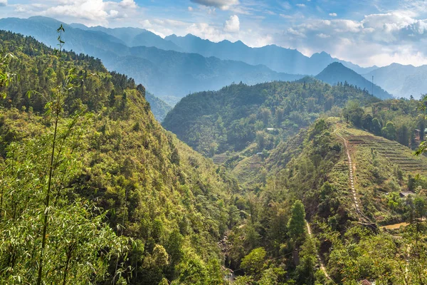 Vue Panoramique Rizière Terrasses Sapa Lao Cai Vietnam Dans Une — Photo