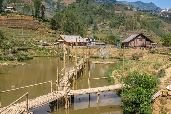 Bir yaz günü kedi köyü yakınlarında Sapa, Lao Cai, Vietnam kedi
