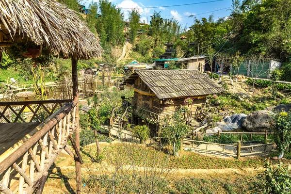 Bir yaz günü kedi köyü yakınlarında Sapa, Lao Cai, Vietnam kedi