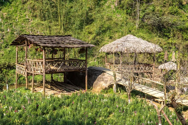 Cat Cat Village Près Sapa Lao Cai Vietnam Dans Une — Photo