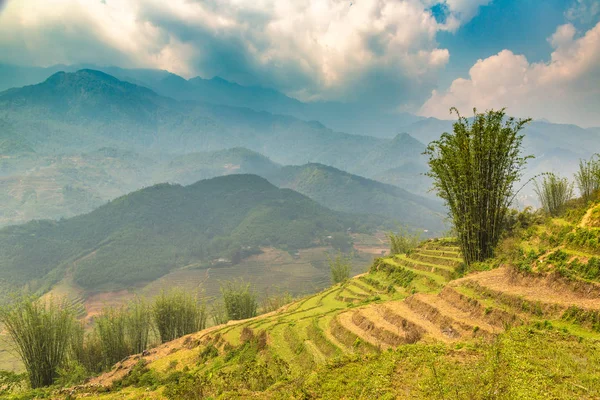 Panoramik Terraced pirinç alan bir yaz günü Sapa, Lao Cai, Vietnam