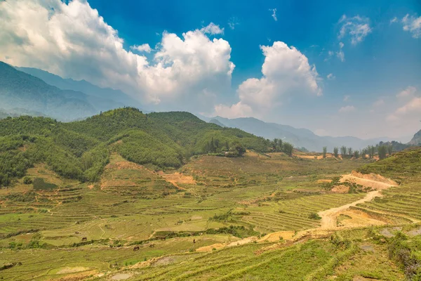 Panoramik Terraced pirinç alan bir yaz günü Sapa, Lao Cai, Vietnam