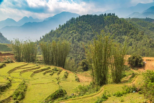 Panoramik Terraced pirinç alan bir yaz günü Sapa, Lao Cai, Vietnam