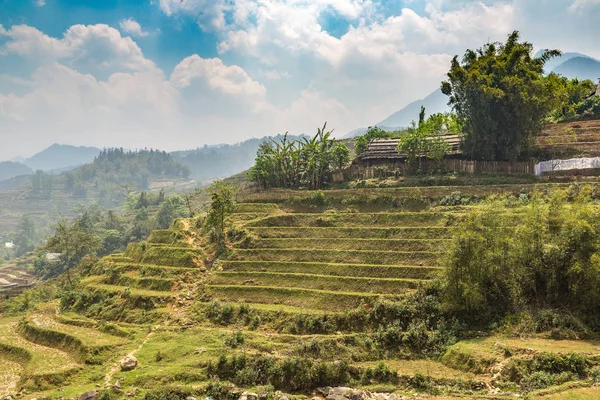 Panoramautsikt Över Terrasserad Risfält Sapa Lao Cai Vietnam Sommardag — Stockfoto
