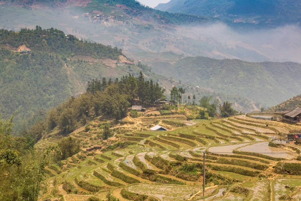 Vista Panorâmica Campo Arroz Terraced Sapa Lao Cai Vietnã Dia — Fotografia de Stock