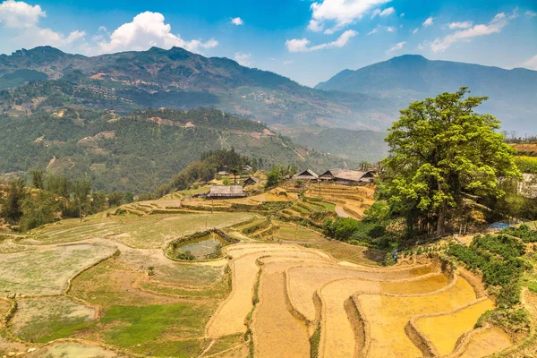 Panoramik Terraced pirinç alan bir yaz günü Sapa, Lao Cai, Vietnam