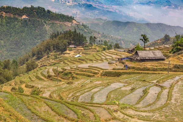 Panoramik Terraced pirinç alan bir yaz günü Sapa, Lao Cai, Vietnam