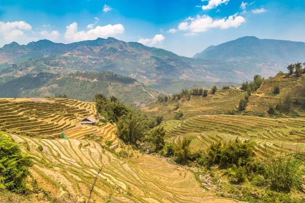 Vista Panorâmica Campo Arroz Terraced Sapa Lao Cai Vietnã Dia — Fotografia de Stock