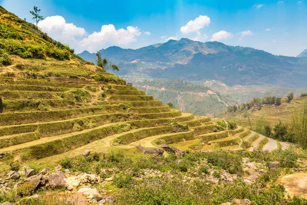 Panoramik Terraced pirinç alan bir yaz günü Sapa, Lao Cai, Vietnam