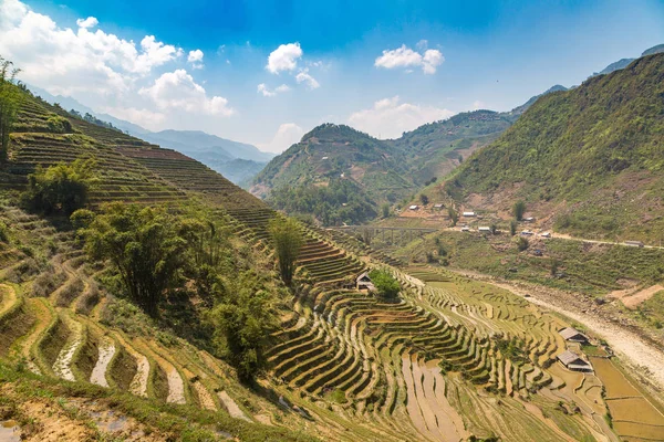 Panoramautsikt Över Terrasserad Risfält Sapa Lao Cai Vietnam Sommardag — Stockfoto