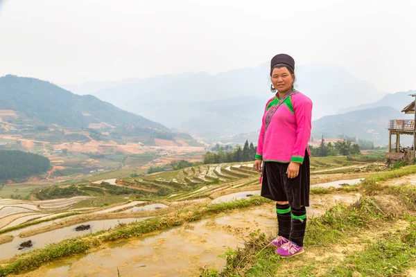 Sapa, Vietnam - 19 Haziran 2018: bir yaz günü Terraced pirinç alan Sapa, Lao Cai, Vietnam, geleneksel giysiler giyen kadın