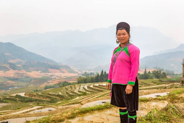 Sapa, Vietnam - 19 Haziran 2018: bir yaz günü Terraced pirinç alan Sapa, Lao Cai, Vietnam, geleneksel giysiler giyen kadın