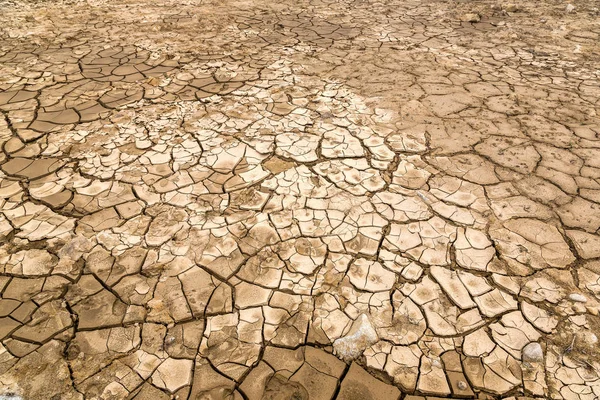 夏季干燥的土地和破碎的地面背景 — 图库照片