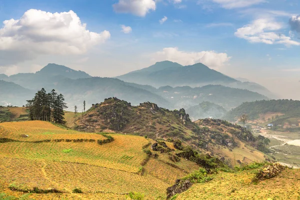 Panoramik Terraced pirinç alan bir yaz günü Sapa, Lao Cai, Vietnam