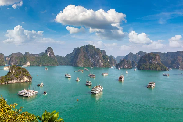 Bir yaz günü Vietnam'da Halong Körfezi panoramik havadan görünümü
