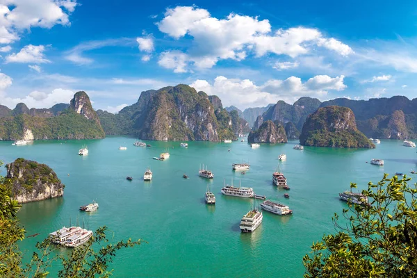 Bir yaz günü Vietnam'da Halong Körfezi panoramik havadan görünümü