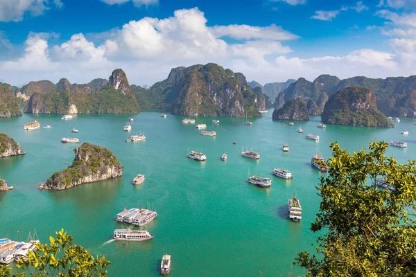 Vista Aérea Panorámica Bahía Halong Vietnam Día Verano —  Fotos de Stock