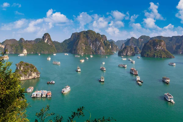 Bir yaz günü Vietnam'da Halong Körfezi panoramik havadan görünümü
