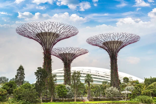 Singapore Juni 2018 Der Superbaumhain Den Gärten Der Bucht Und — Stockfoto