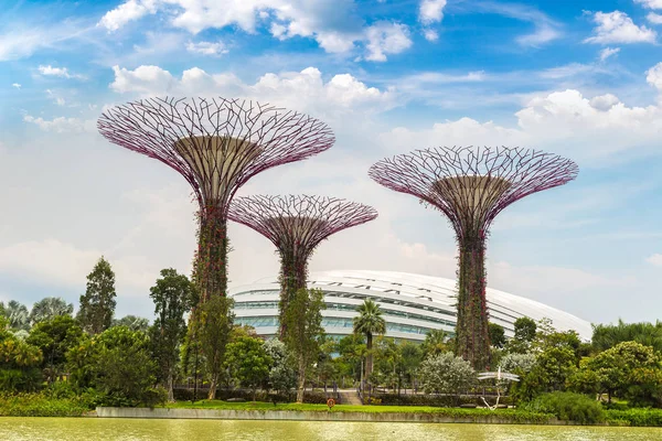 Singapur - 23 Haziran 2018: Supertree Grove Gardens koy ve Marina Bay Sands hotel yaz günü adlı yakınlarında Singapur serada tarafından