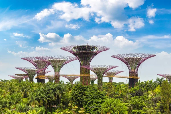 Singapur Junio 2018 Supertree Grove Gardens Bay Singapur Cerca Del — Foto de Stock