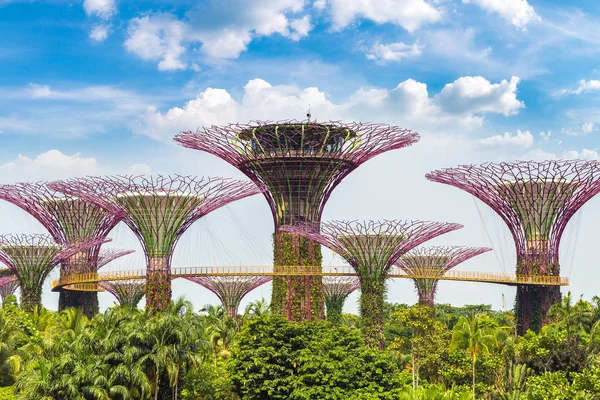 Singapur Června 2018 Ochoz Supertree Grove Zahradách Bay Singapuru Poblíž — Stock fotografie