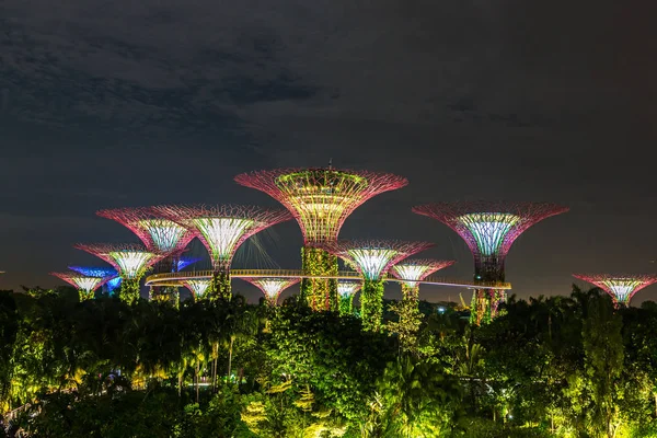 Singapur - 23 Haziran 2018: Supertree Grove Gardens Körfez Marina Bay Sands hotel yaz geceleri yakınındaki Singapur'da