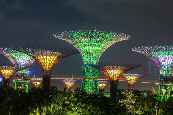 Singapur - 23 Haziran 2018: Supertree Grove Gardens Körfez Marina Bay Sands hotel yaz geceleri yakınındaki Singapur'da
