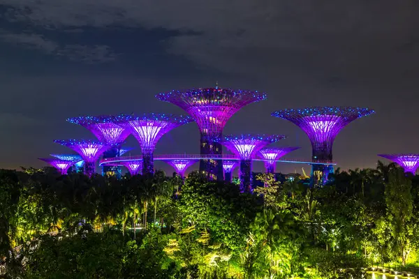 Singapore Junho 2018 Supertree Grove Gardens Bay Singapura Perto Hotel — Fotografia de Stock