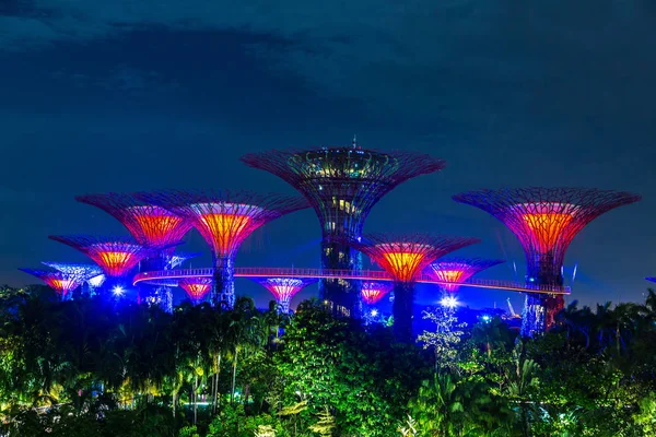 Singapur Června 2018 Supertree Grove Zahradách Bay Singapuru Poblíž Hotelu — Stock fotografie