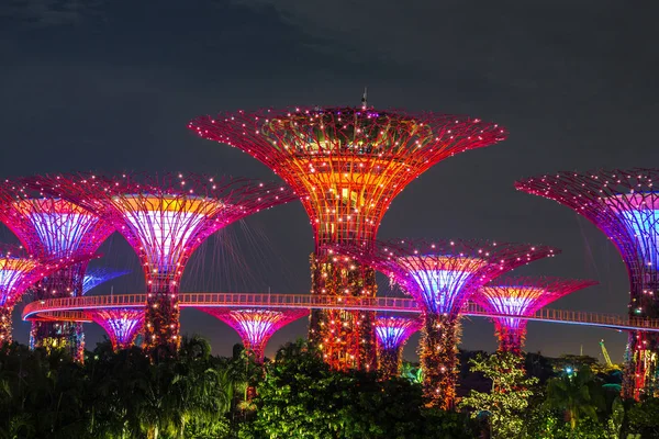 Singapur - 23 Haziran 2018: Supertree Grove Gardens Körfez Marina Bay Sands hotel yaz geceleri yakınındaki Singapur'da