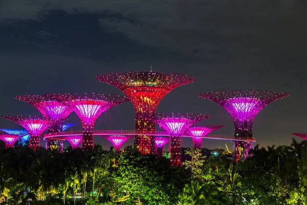 Singapur - 23 Haziran 2018: Supertree Grove Gardens Körfez Marina Bay Sands hotel yaz geceleri yakınındaki Singapur'da
