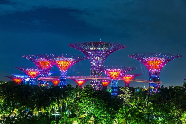 Singapur - 23 Haziran 2018: Supertree Grove Gardens Körfez Marina Bay Sands hotel yaz geceleri yakınındaki Singapur'da