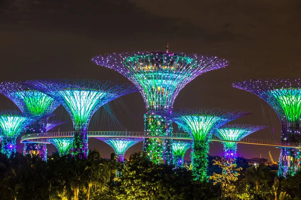 Singapur - 23 Haziran 2018: Supertree Grove Gardens Körfez Marina Bay Sands hotel yaz geceleri yakınındaki Singapur'da