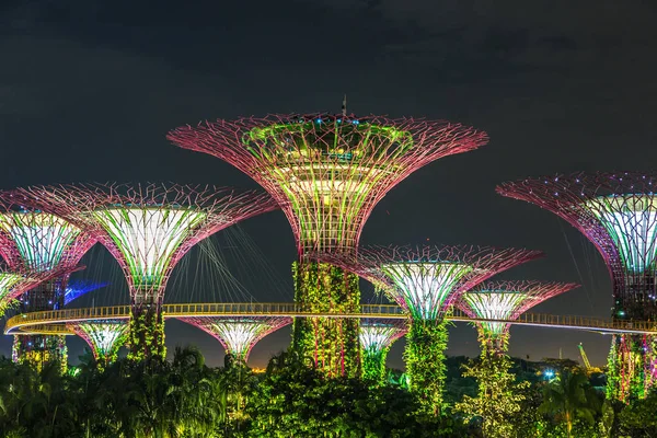 Singapur - 23 Haziran 2018: Supertree Grove Gardens Körfez Marina Bay Sands hotel yaz geceleri yakınındaki Singapur'da