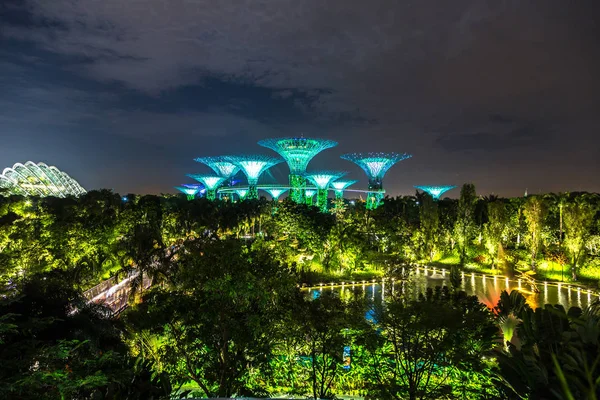 Singapore Juni 2018 Supertree Grove Tuinen Langs Baai Singapore Buurt — Stockfoto